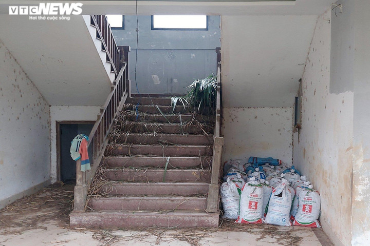 Ảnh: Những dự án cả thập kỷ bỏ hoang thành nơi chăn trâu, bò ở Huế và Quảng Trị - 6