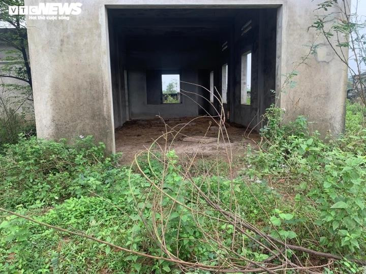 Ảnh: Những dự án cả thập kỷ bỏ hoang thành nơi chăn trâu, bò ở Huế và Quảng Trị - 18