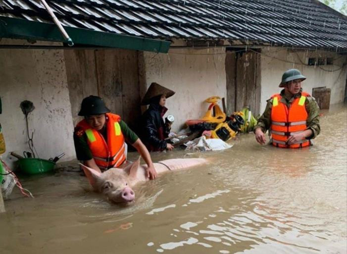 Mưa lớn ít gặp ở miền Bắc: Dấu hiệu một năm có nhiều thiên tai bất thường - 1