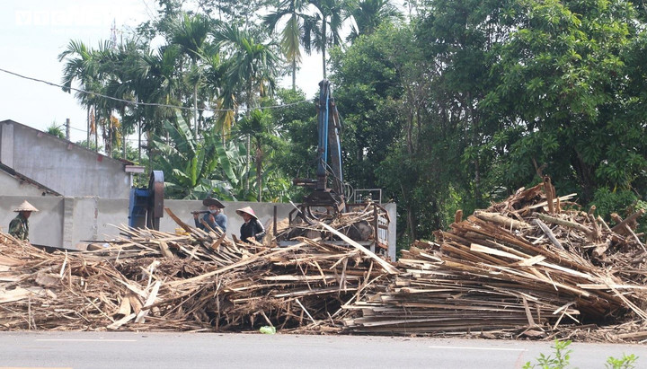 Quảng Nam: Khu dân cư bị 'tra tấn' bởi xưởng băm gỗ - 2