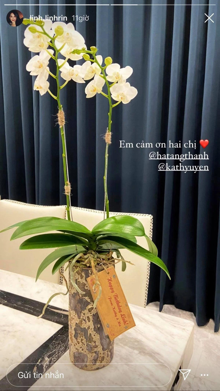 Hé lộ tình chị em thân thiết giữa Tăng Thanh Hà và 'em dâu tương lai' Linh Rin - 8