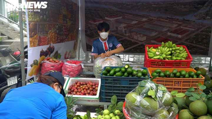 Ảnh: Độc đáo tuần lễ trái cây 'Trên bến dưới thuyền' tại bến Bình Đông, TP.HCM - 6