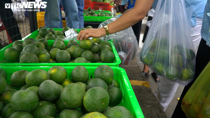 Ảnh: Độc đáo tuần lễ trái cây 'Trên bến dưới thuyền' tại bến Bình Đông, TP.HCM - 10