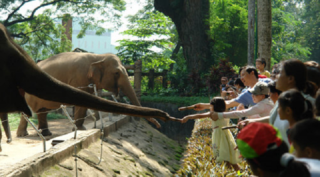 Đưa trẻ đi đâu chơi trong Ngày Quốc tế Thiếu nhi 1/6? - 5