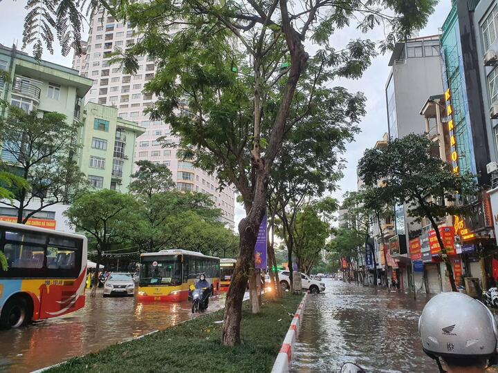 Cây đổ, đường ngập như sông ở Hà Nội sau cơn mưa lớn - 13
