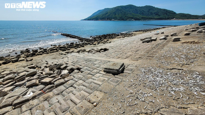 Hà Tĩnh: Dân sống bất an bên kè biển sạt lở nghiêm trọng - 6