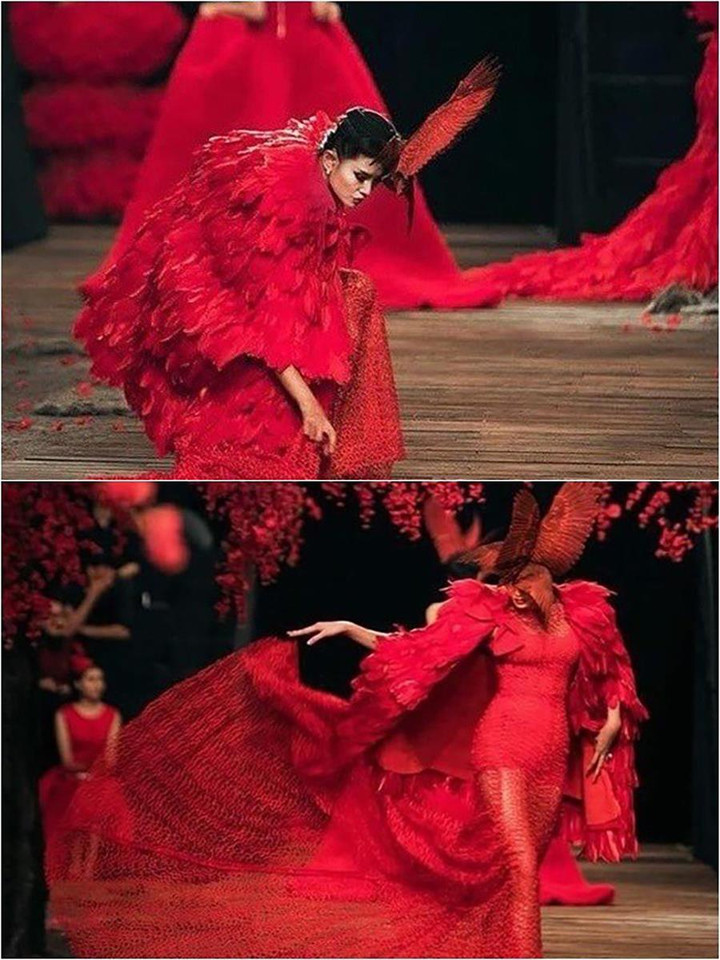 Loạt người đẹp từng 'vồ ếch', hụt chân khi trình diễn thời trang - 6