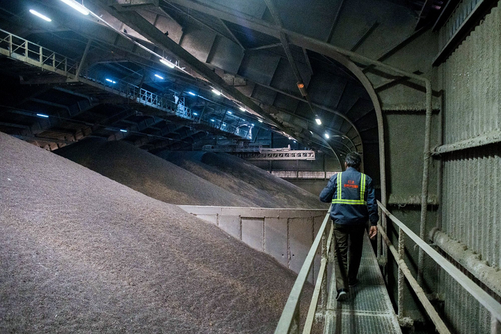 Cuộc chạy đua tìm đường đưa ngũ cốc ra khỏi Ukraine - 3