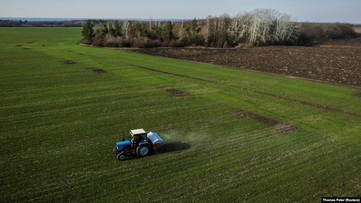 Nga thu mua ngũ cốc từ vùng kiểm soát ở Ukraine - 1