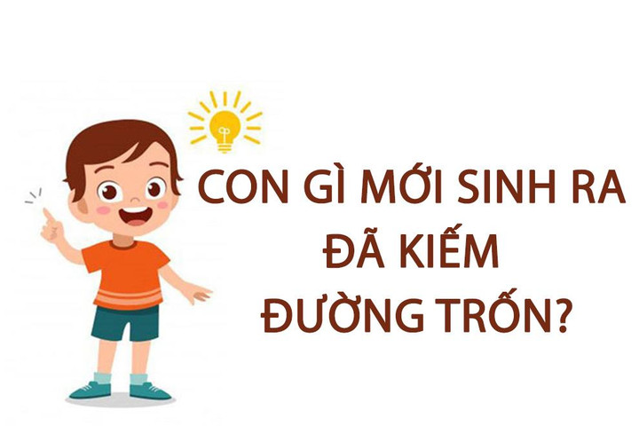 Con gì mới sinh ra đã kiếm đường trốn? - 1