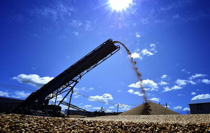 Mỹ sẵn sàng hỗ trợ hoạt động xuất khẩu ngũ cốc và phân bón từ Nga - 1