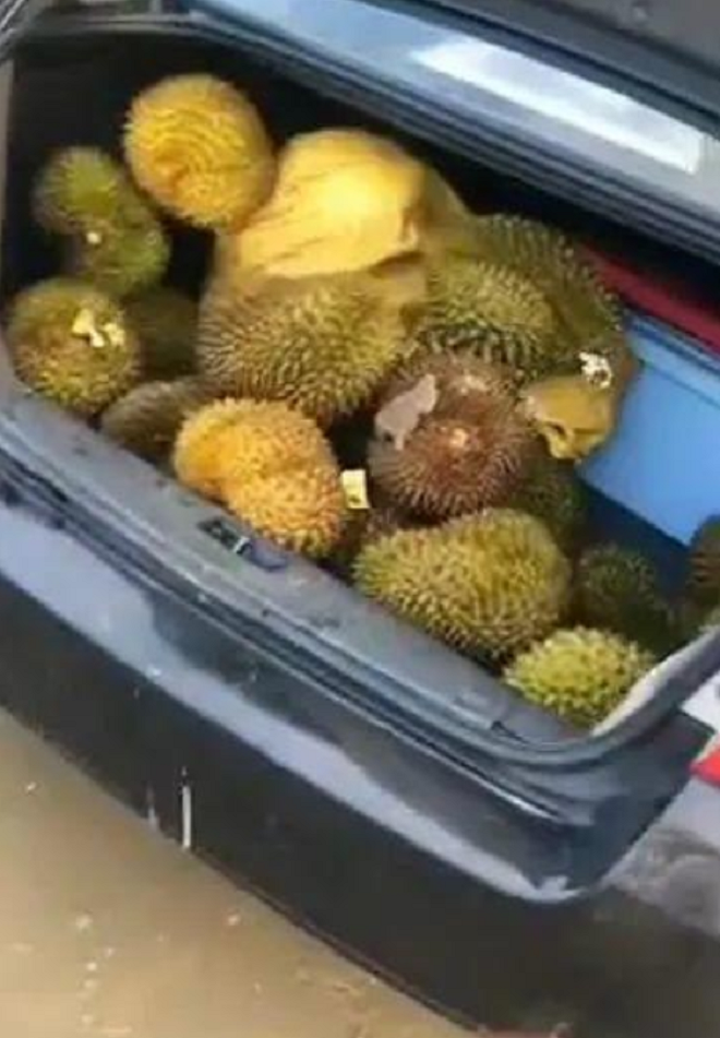 ‘Hôi’ sầu riêng từ thuyền hàng bị lật ở biển, hơn 500 người xanh mặt nhập viện - 3