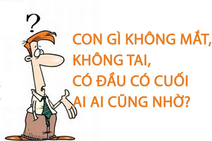 Con gì không mắt, không tai, có đầu có cuối ai ai cũng nhờ? - 1