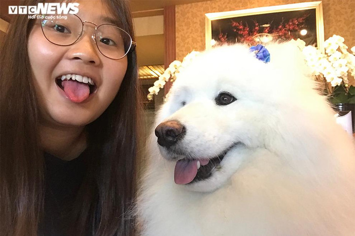 Trải nghiệm du lịch sang chảnh với giá 0 đồng của du học sinh Nhật - 2