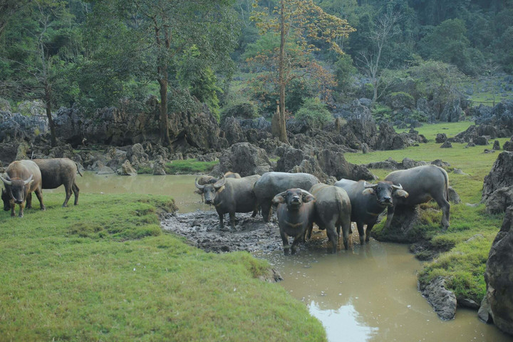 Hưởng bình yên, quên muộn phiền ở ‘làng nguyên thủy’ không sóng điện thoại, wifi - 8