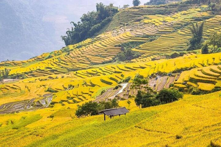 Về Choản Thèn ngắm thiên đường mây lãng du - 4