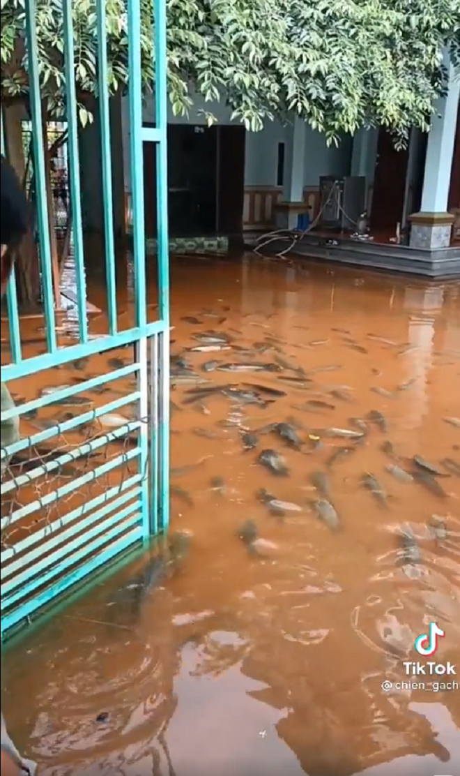 Khoảnh khắc lạc quan đầy hài hước trong những ngày mưa ngập lối về - 1