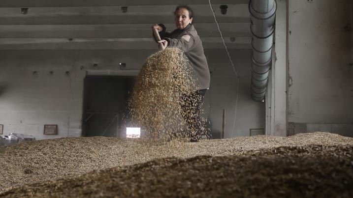 Thổ Nhĩ Kỳ giúp Nga - Ukraine xuất khẩu 20 triệu tấn ngũ cốc - 1