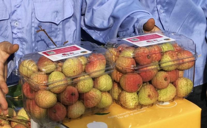 Vải thiều siêu đắt 200.000 đồng/kg: Hàng xuất Nhật, khách nội hiếm được ăn - 2