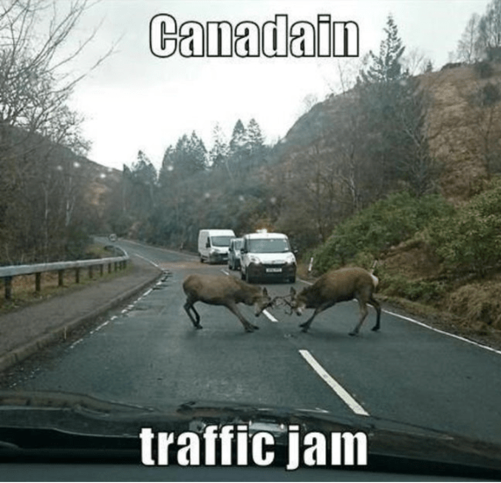 Khoảnh khắc những kẻ 'ngang ngược' gây tắc đường nhưng không ai dám phàn nàn - 2