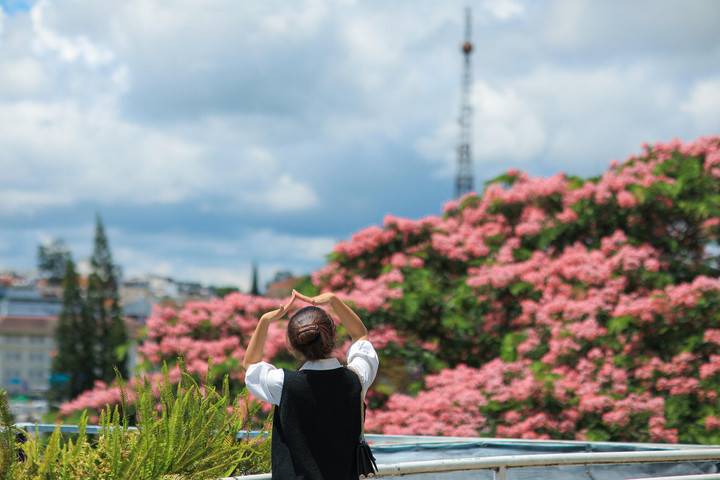 Đà Lạt mùa hè vẫn 'đẹp rụng rời' bởi màu sắc ngọt ngào của hoa phượng hồng - 10