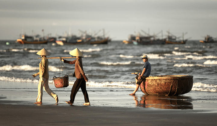 Vì sao Bình Định, Phú Yên được gọi là 'xứ Nẫu'? - 2