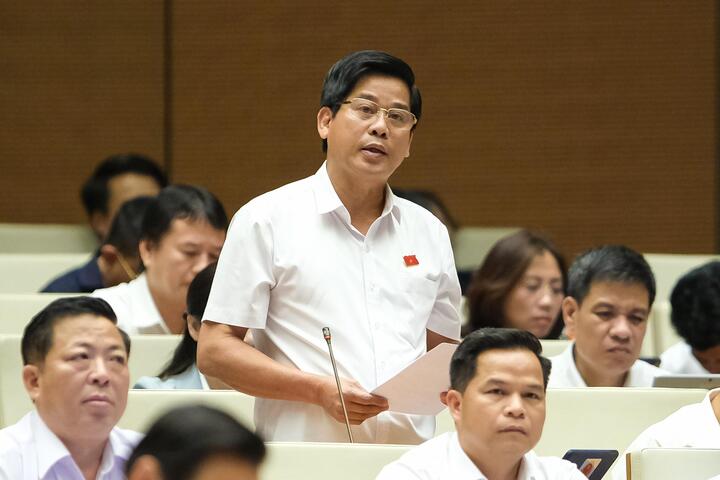 ĐBQH: Nông dân đã nghèo lại đeo cái khổ vì nạn phân bón giả, kém chất lượng - 1