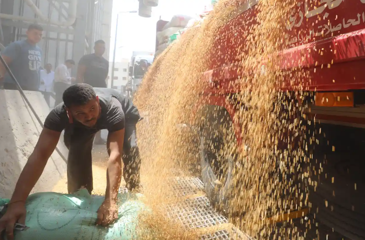 Không thiếu lương thực, tại sao thế giới vẫn trên bờ vực khủng hoảng? - 4