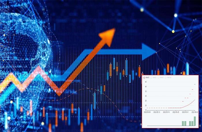 Cổ phiếu ‘lạ’: Tăng trần liên tiếp, giao dịch vẫn ảm đạm - 1