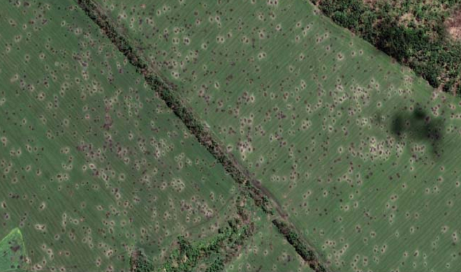 Ảnh vệ tinh cho thấy giao tranh khốc liệt ở Donbass - 4