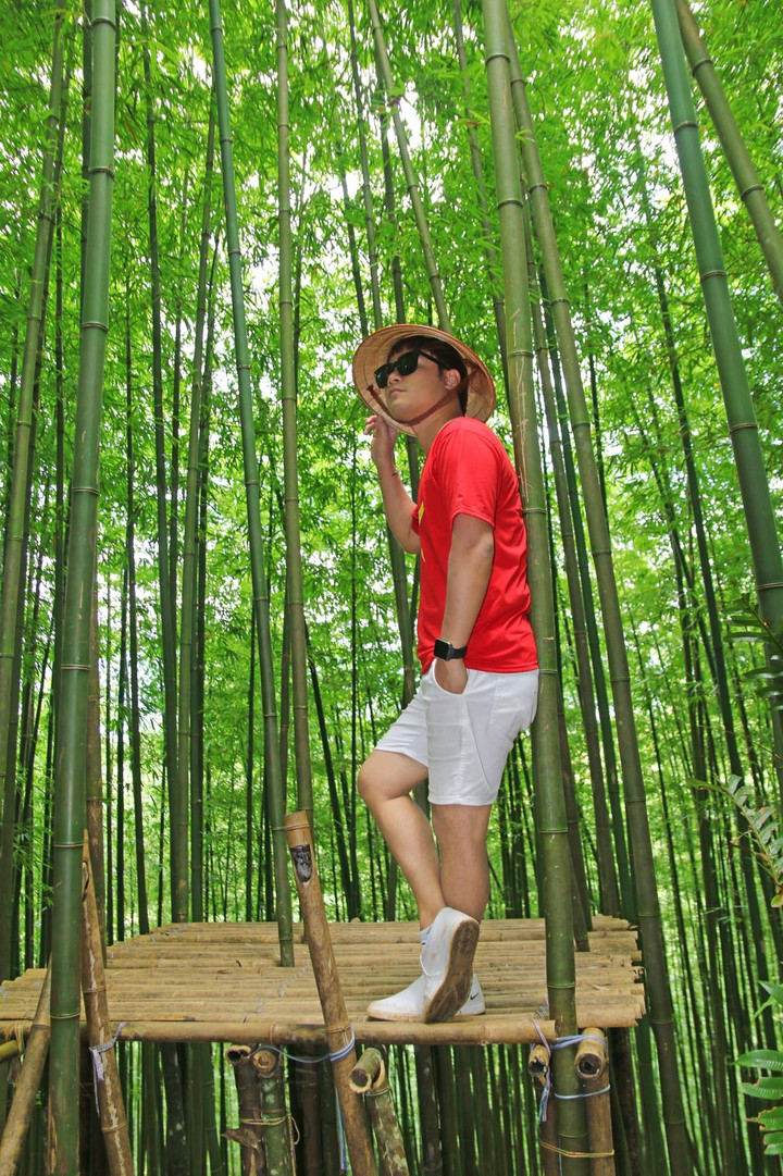 Phát hiện rừng trúc kỳ vĩ đẹp hơn cả cảnh phim kiếm hiệp ngay tại Việt Nam - 8