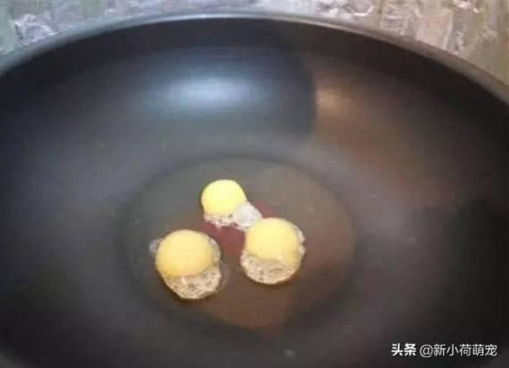 Lấy trứng rùa cưng thử chiên mãi vẫn không chín, chủ bất ngờ vì lý do đằng sau - 4