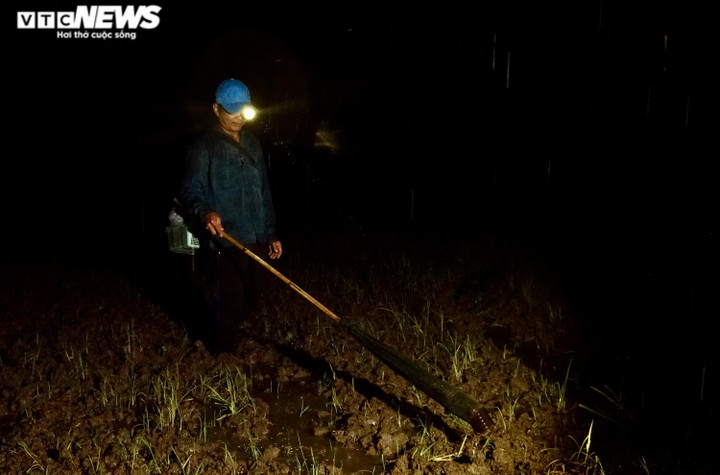 Ảnh: Xuyên đêm soi đèn săn ‘vũ nữ chân dài’ ở miền Tây - 4