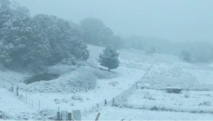 Australia đón mùa đông lạnh chưa từng thấy trong hơn 100 năm qua - 1