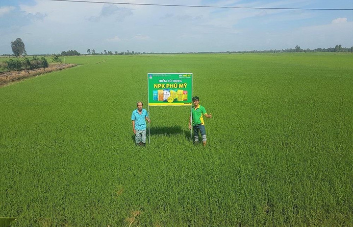 PVFCCo lọt Top 50 công ty niêm yết tốt nhất năm 2022 - 1