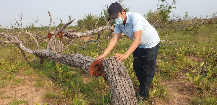 Kỷ luật 2 lãnh đạo xã vì để gần 400 ha rừng ở Đắk Lắk bị phá - 1