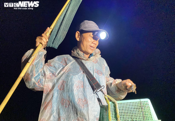 Ảnh: Xuyên đêm soi đèn săn ‘vũ nữ chân dài’ ở miền Tây - 8