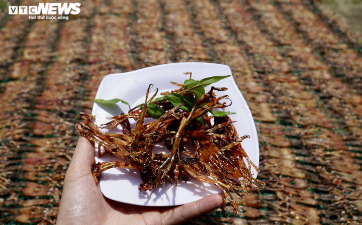 Ảnh: Xuyên đêm soi đèn săn ‘vũ nữ chân dài’ ở miền Tây - 1