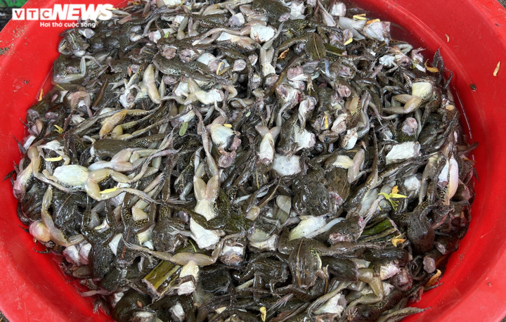 Ảnh: Xuyên đêm soi đèn săn ‘vũ nữ chân dài’ ở miền Tây - 9