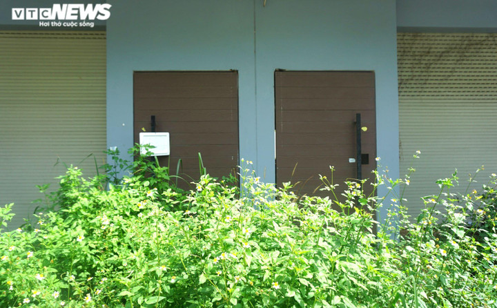 Đại hạ giá, hàng loạt căn hộ cho thuê ở Đà Nẵng vẫn ế ẩm - 3