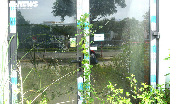 Đại hạ giá, hàng loạt căn hộ cho thuê ở Đà Nẵng vẫn ế ẩm - 5