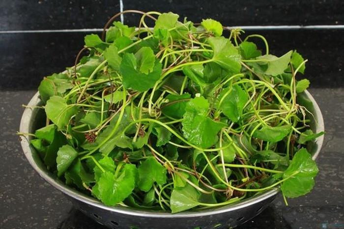 Thứ rau được xem là 'vàng trên mặt đất', 'tiên dược trời ban' có tác dụng gì? - 1