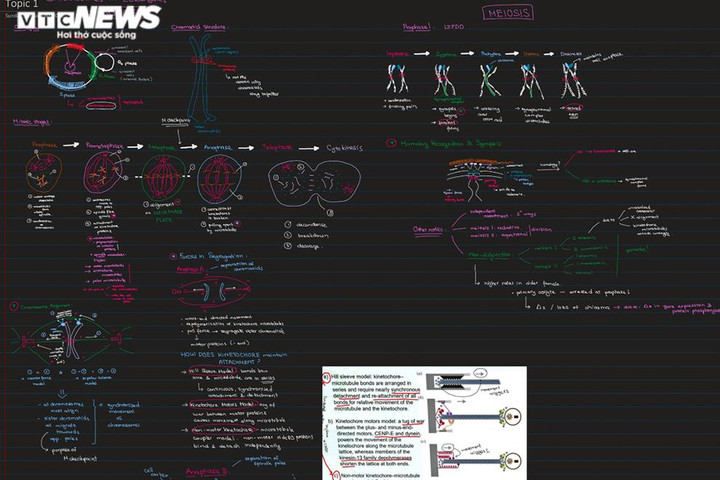 Bí quyết giành điểm tuyệt đối ở đại học Singapore của nam sinh Việt - 2