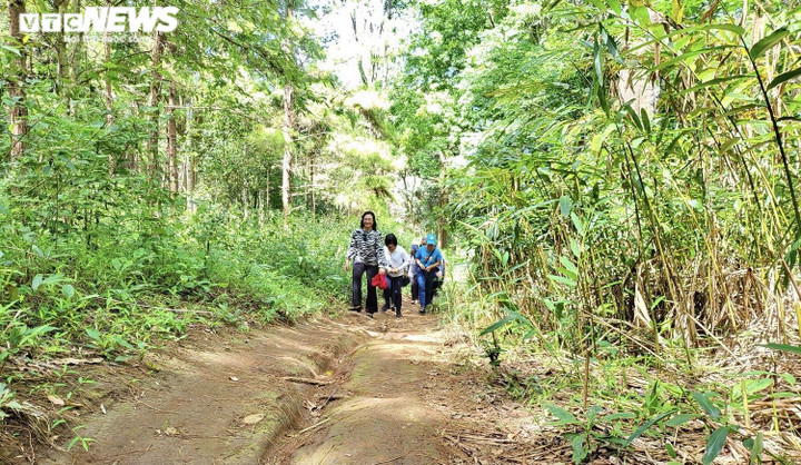 Đoàn công tác TP.HCM khảo sát tiềm năng du lịch ở Vườn Quốc gia Kon Ka Kinh - 1