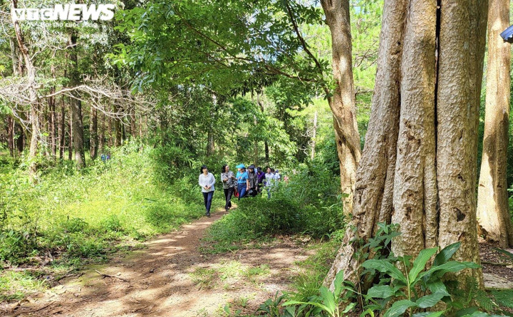 Đoàn công tác TP.HCM khảo sát tiềm năng du lịch ở Vườn Quốc gia Kon Ka Kinh - 2