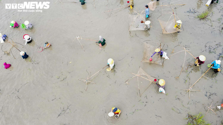 Ảnh: Nghìn người tham gia lễ hội bắt cá độc nhất vô nhị ở Hà Tĩnh - 16