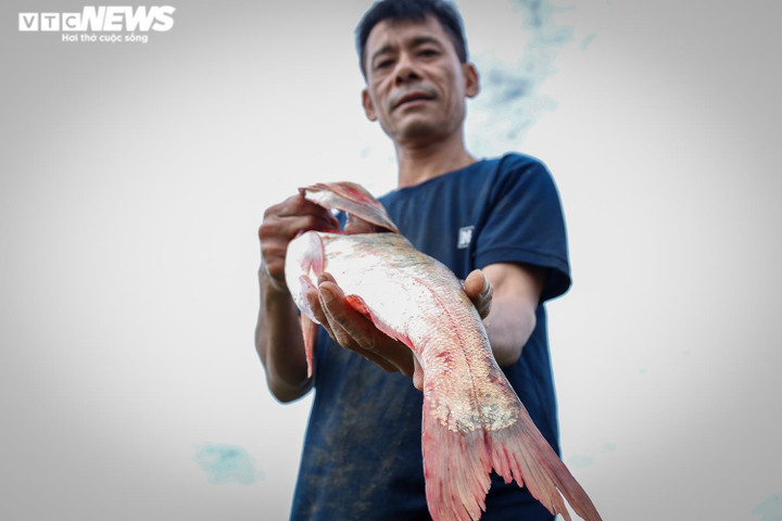 Ảnh: Nghìn người tham gia lễ hội bắt cá độc nhất vô nhị ở Hà Tĩnh - 7