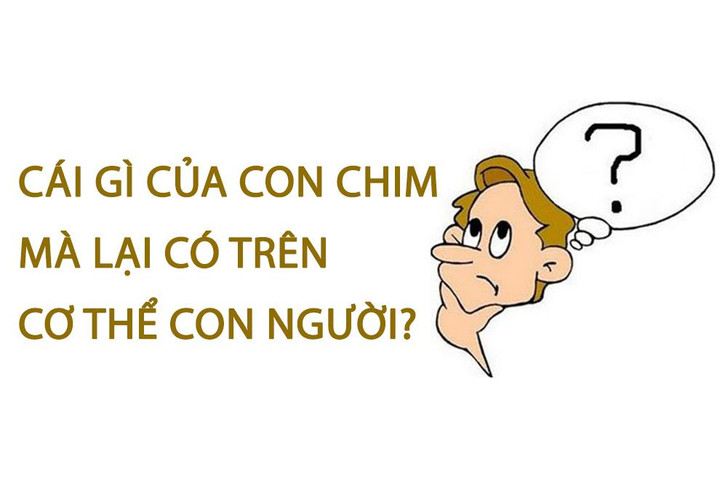 Đố vui: Cái gì của con chim mà lại có trên cơ thể con người? - 1