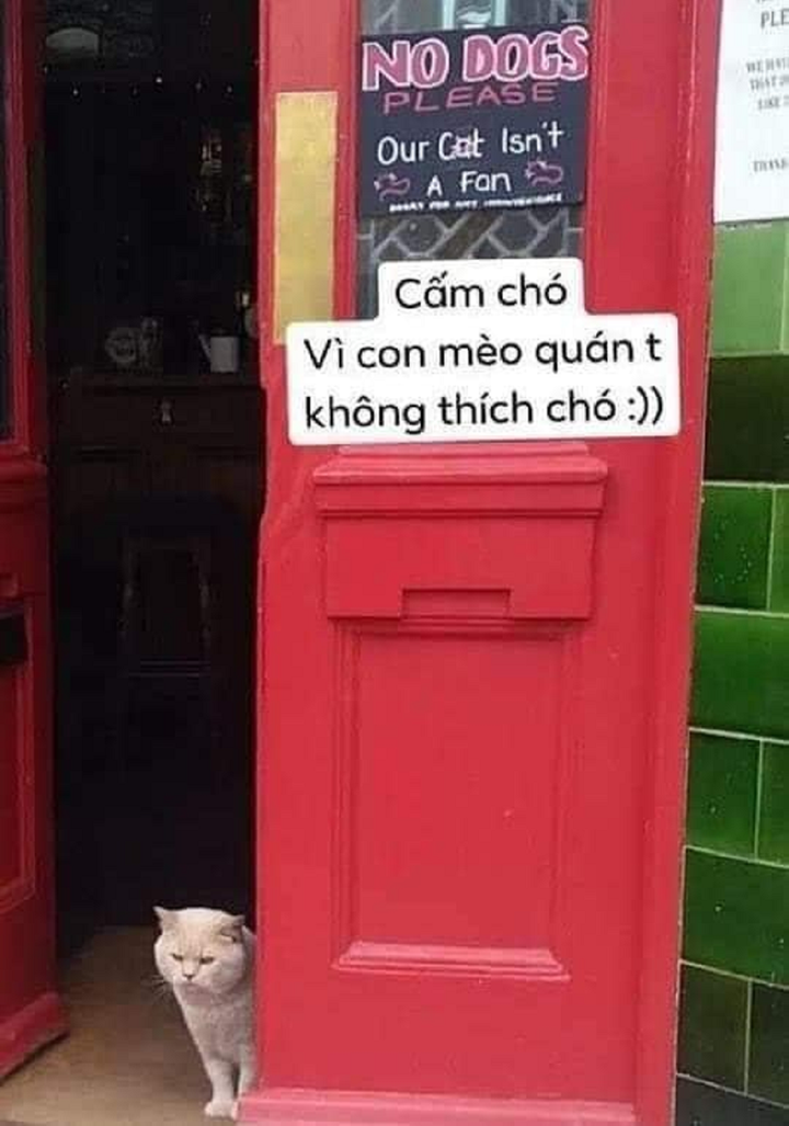 Giật mình trước các thông báo từ hài hước đến bá đạo được chụp ở ngoài phố - 6