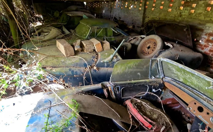 Phát hiện trang trại bỏ hoang chứa kho ô tô cổ hàng hiếm - 3